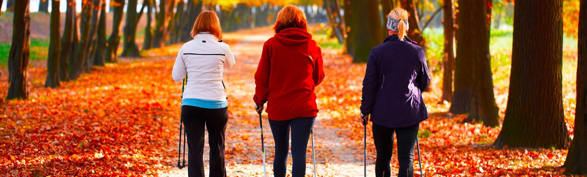 Schritt für Schritt fit