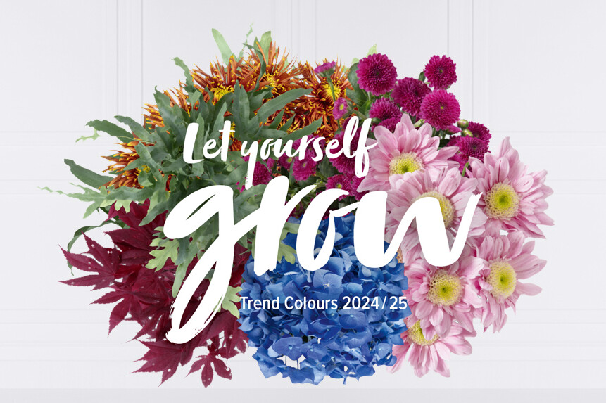 Blomma ut med Juzo Trend Colours 2024/25