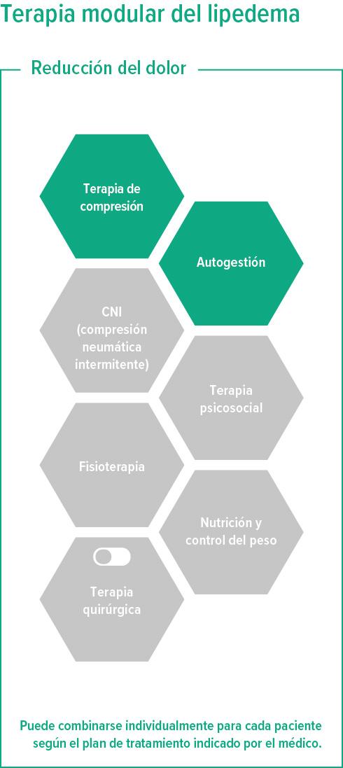 Gráfico de terapia modular del lipedema