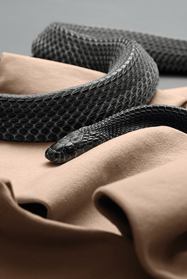 3. Lifestyle image Juzo Move  Black snake lying on Juzo Move stocking