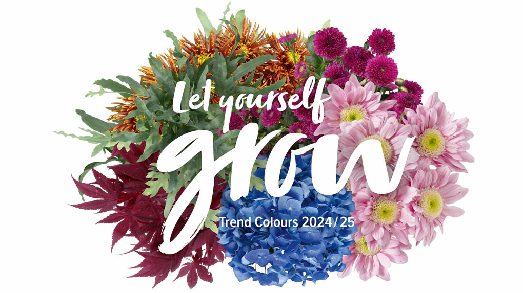 Imagem de Teaser, Batik Mulher encostada a uma parede