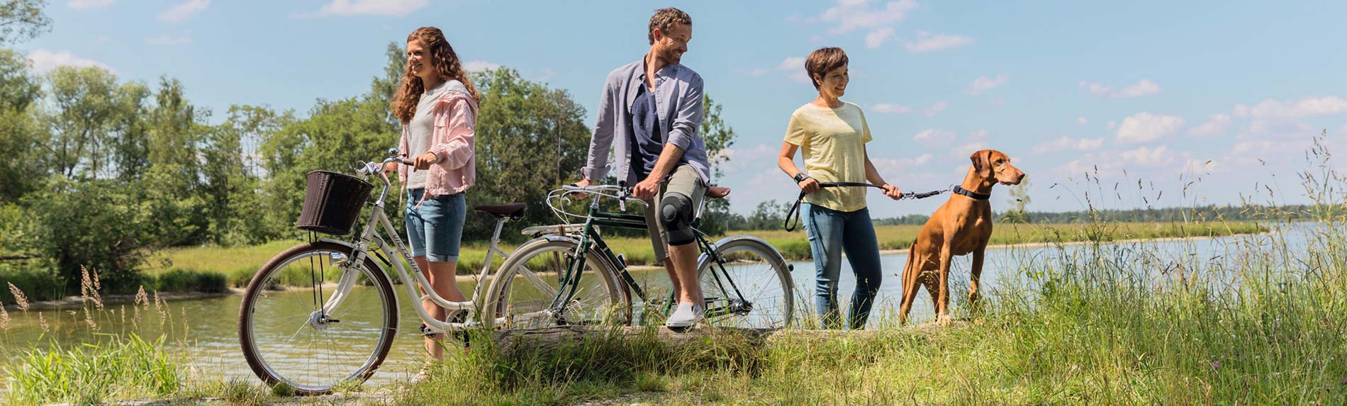 Gelenkschonend Fahrrad fahren