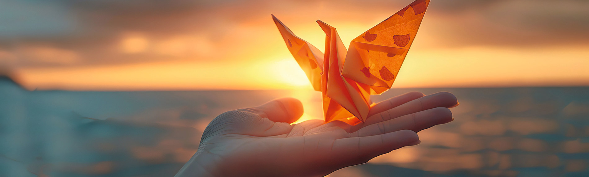 Seminarprogramm 2025 – einfach faszinierend