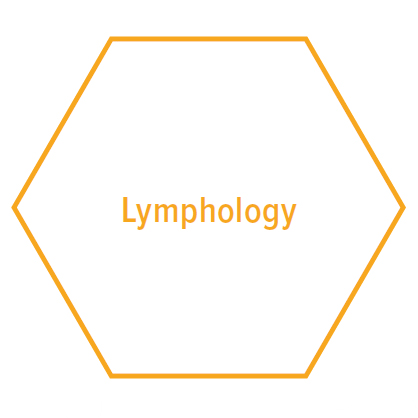 Sechseck Lymphology