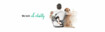 Man with his dog. The lettering "We knit with reliability" above it