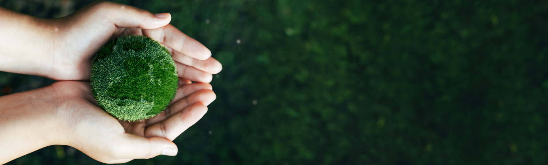 Am 5. Juni ist der Weltumwelttag